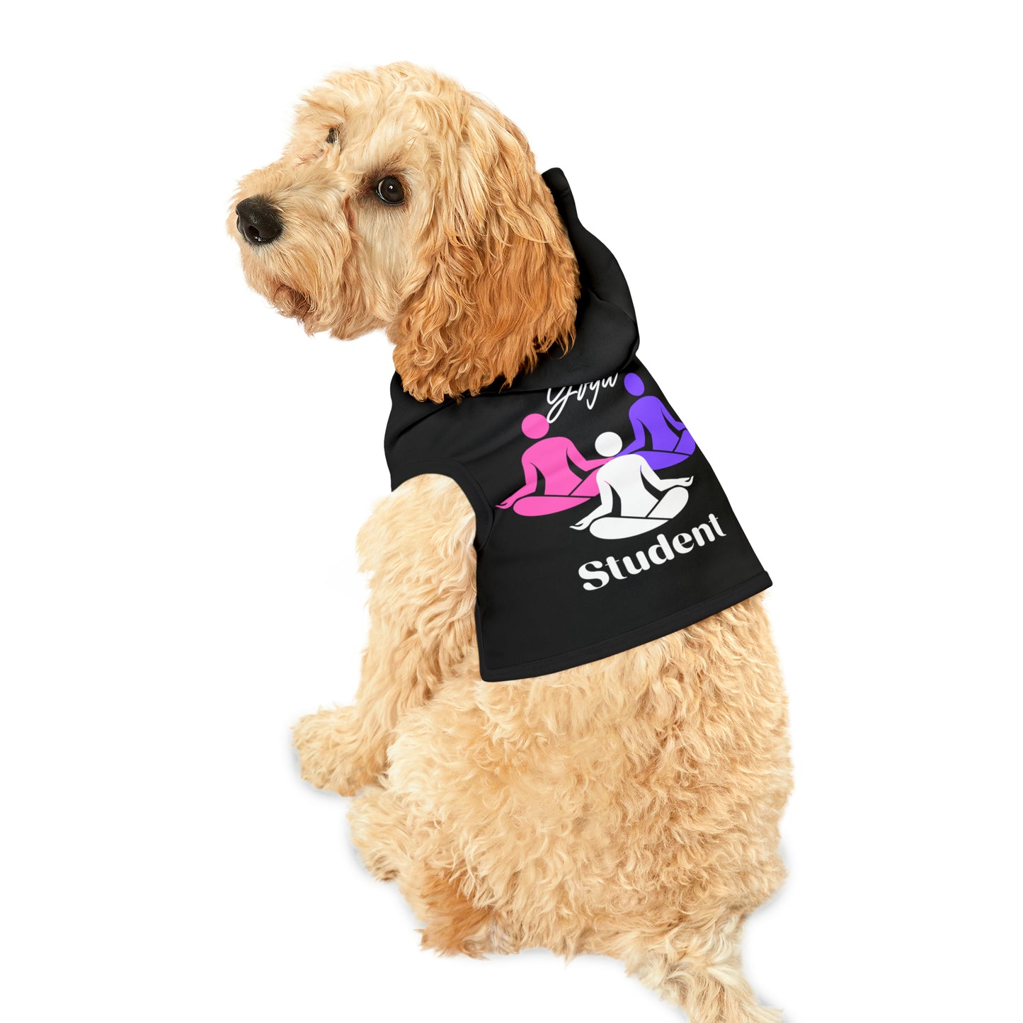 Yoga Student Pet Hoodie